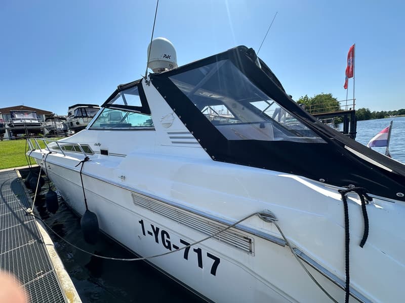 Sea Ray 500 foto 38