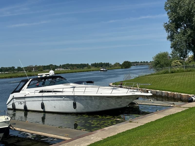 Sea Ray 500 foto 44