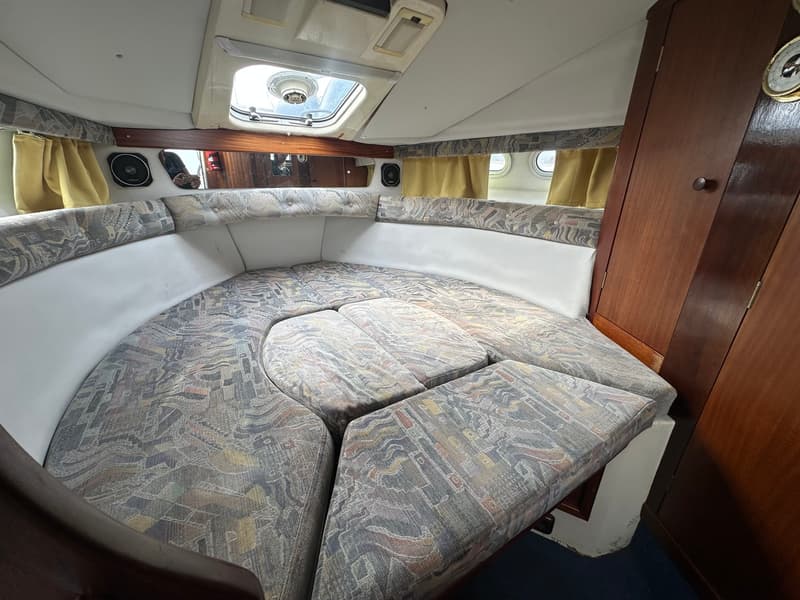 Sealine 255 Family foto 14
