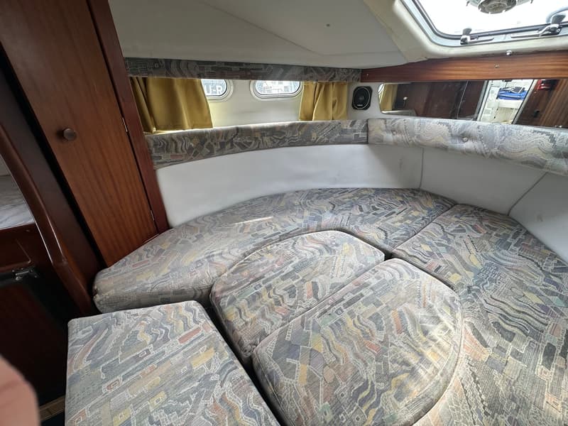 Sealine 255 Family foto 16