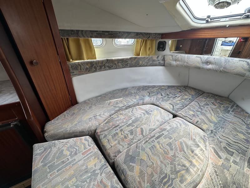 Sealine 255 Family foto 17