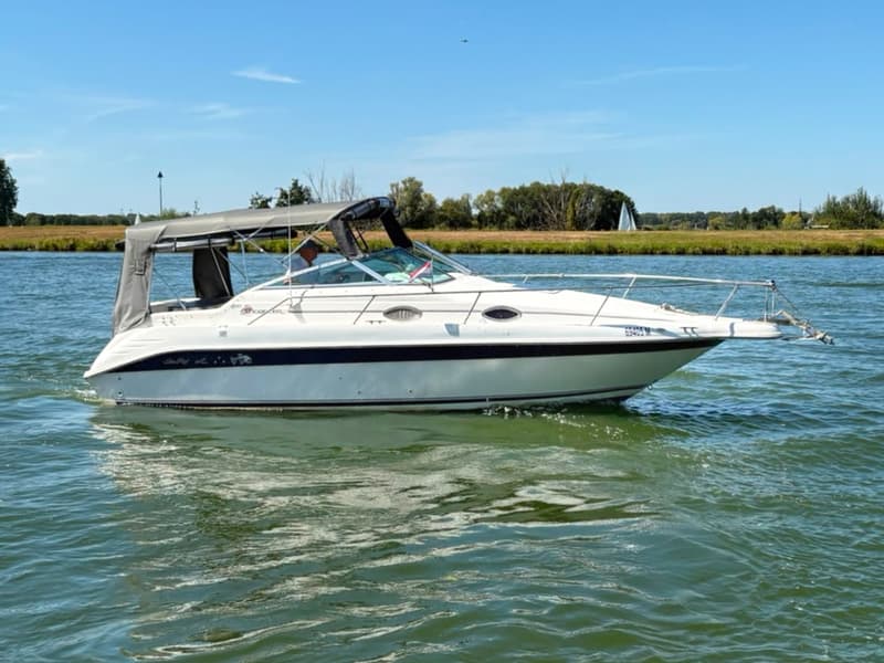 Sea Ray 250 Sundancer foto 1