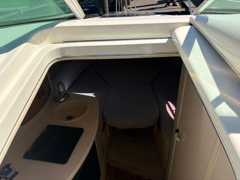 Sea Ray 250 Sundancer foto 11