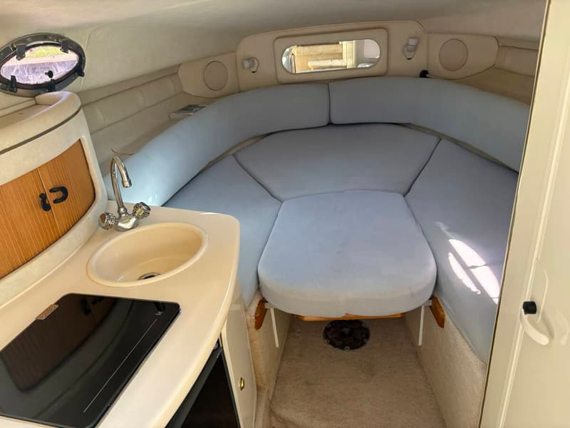 Sea Ray 250 Sundancer foto 12