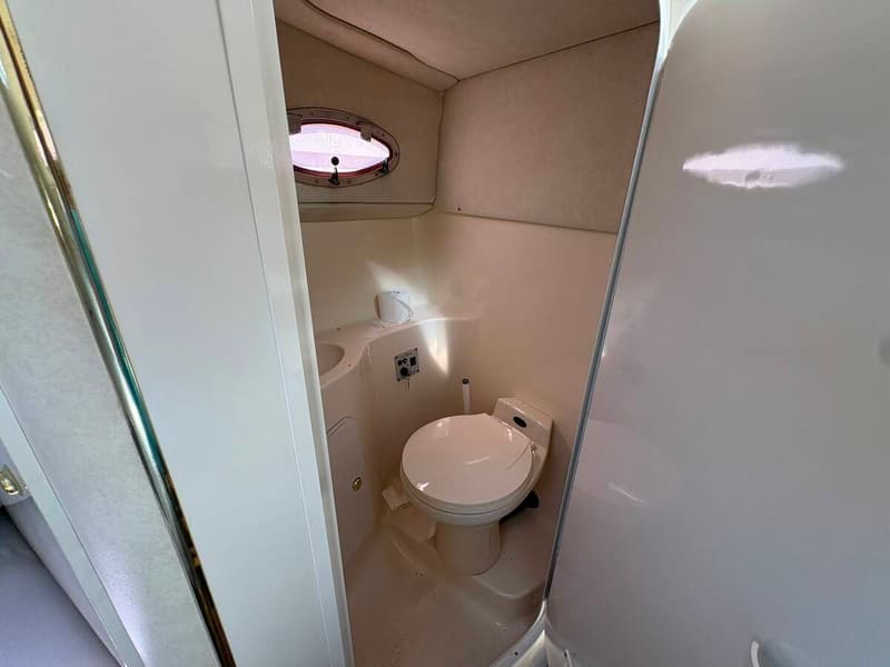 Sea Ray 250 Sundancer foto 13