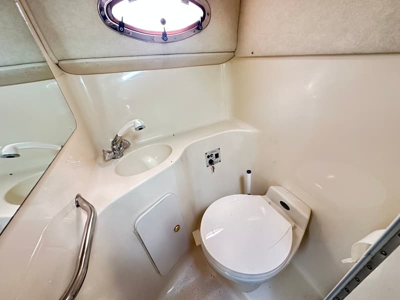 Sea Ray 250 Sundancer foto 14