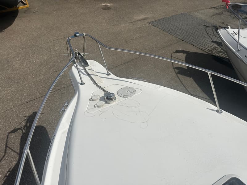 Sea Ray 250 Sundancer foto 17