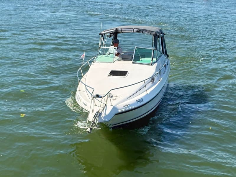 Sea Ray 250 Sundancer foto 19