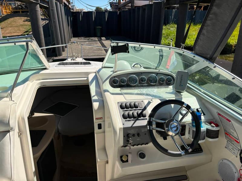 Sea Ray 250 Sundancer foto 9