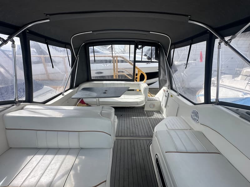 Sea Ray 250 Sundancer foto 10