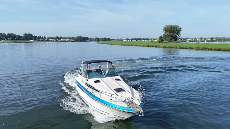Sea Ray 268 Sundancer foto 4