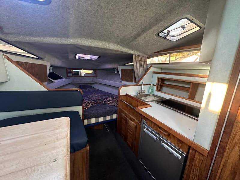 Sea Ray 268 Sundancer foto 9