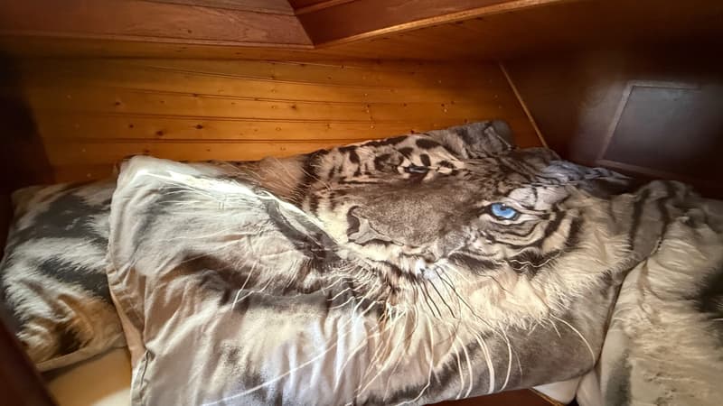 Valkkruiser Valkkruiser Content 12.80 AK Cabrio foto 15