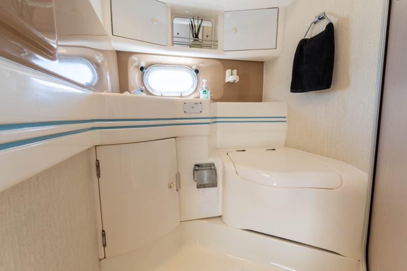 Sealine Sealine Statesmen 450 foto 25