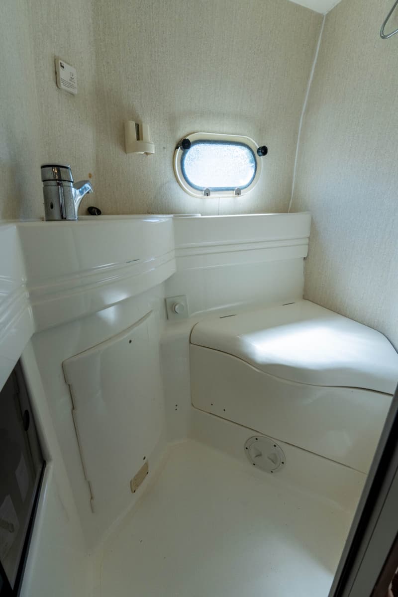 Sealine Sealine Statesmen 450 foto 39