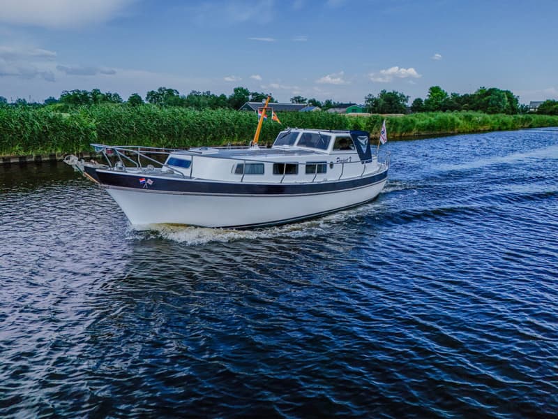 Een witte motorboot met een donkerblauwe streep vaart over het water, met rietkragen en bomen op de achtergrond.