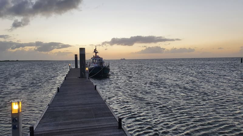 Nelson Halmatic Pilot 40 FT foto 33