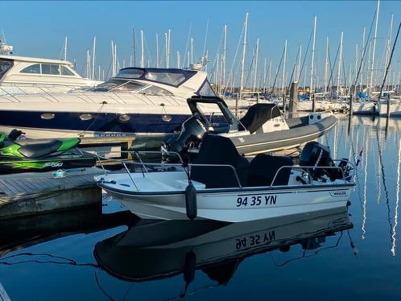 Boston Whaler 150 Montauk met trailer foto 1