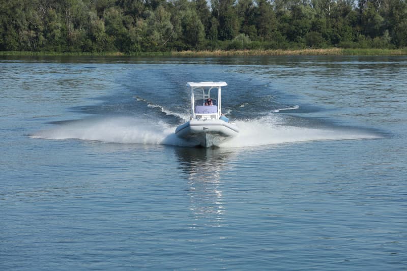 Gala Viking foto 16