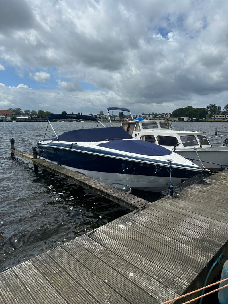 Cobalt 282 foto 2