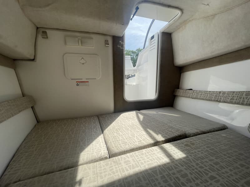 Sea Ray foto 11