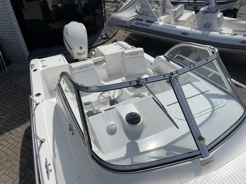 Sea Ray foto 12
