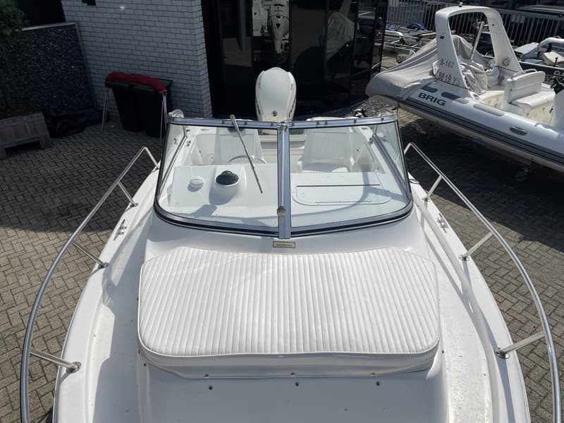 Sea Ray foto 13