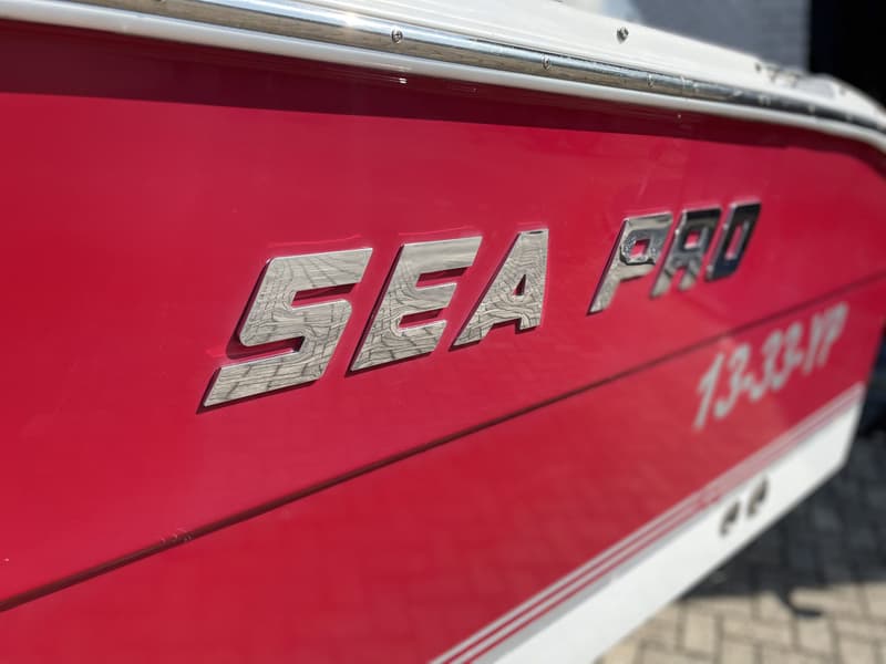 Sea Ray foto 16
