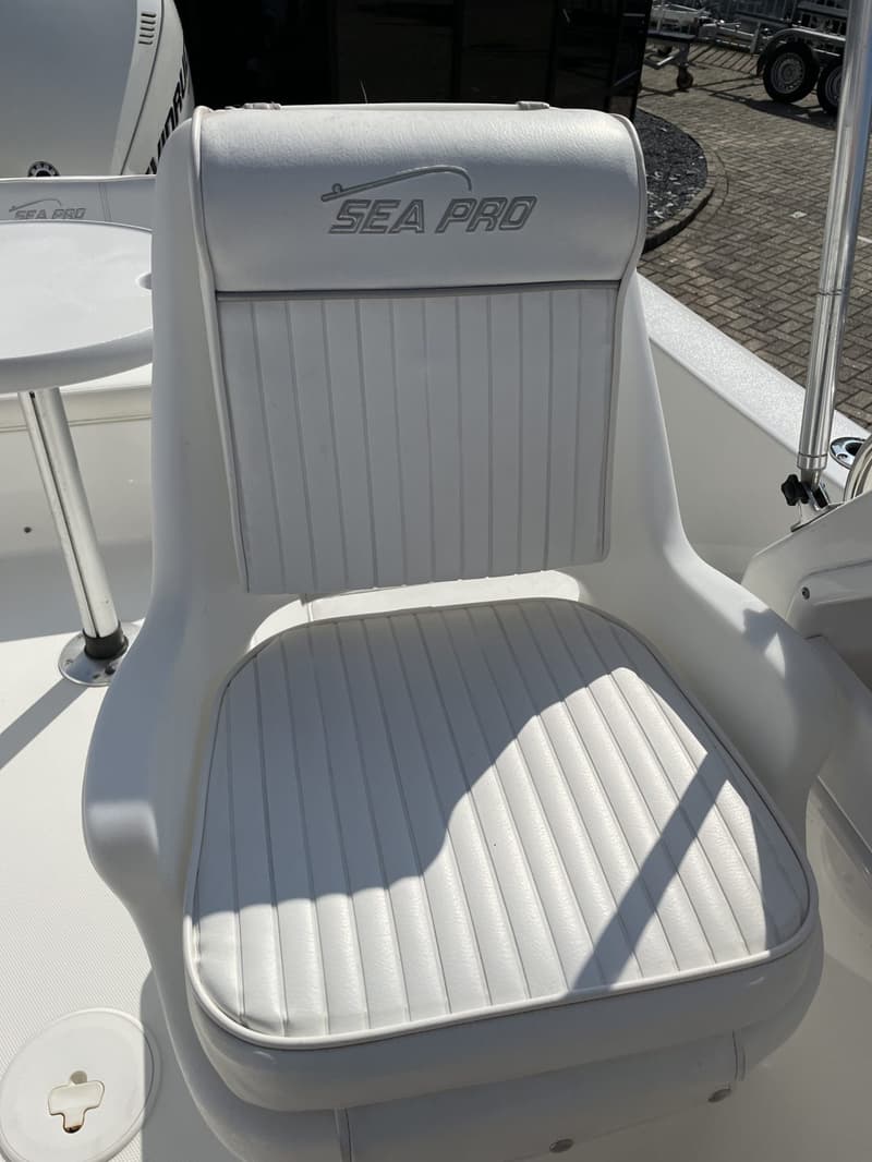 Sea Ray foto 4