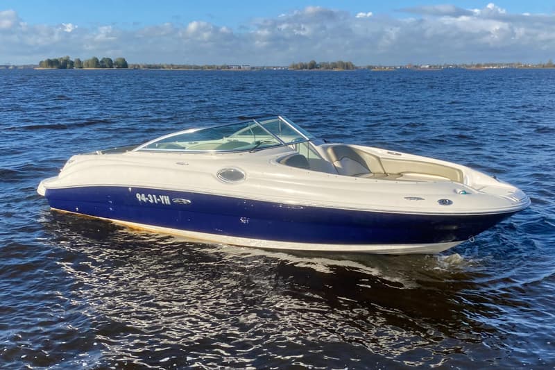 Sea Ray 240 Sundeck foto 2