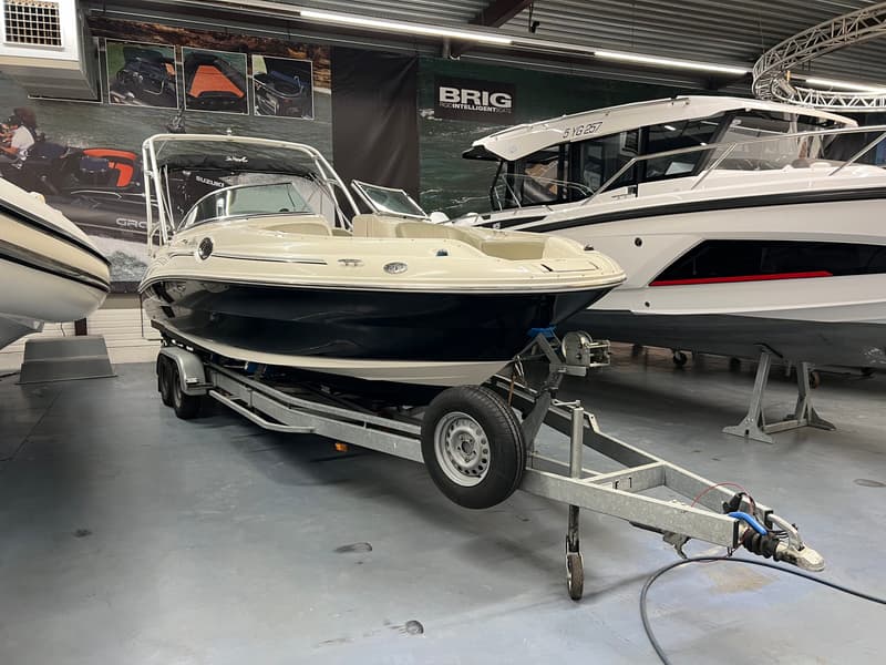 Sea Ray  foto 1