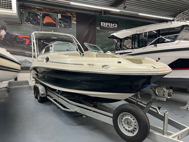 Sea Ray  foto 15