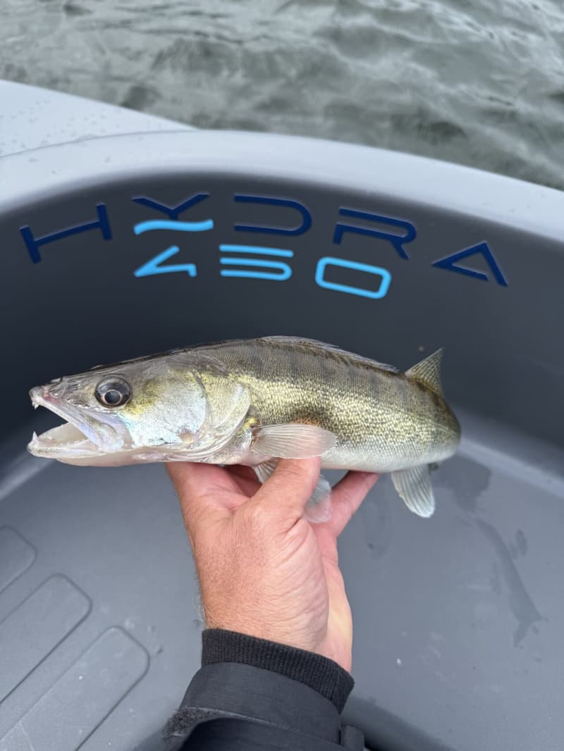 Roto Hydra450 Fishing foto 8