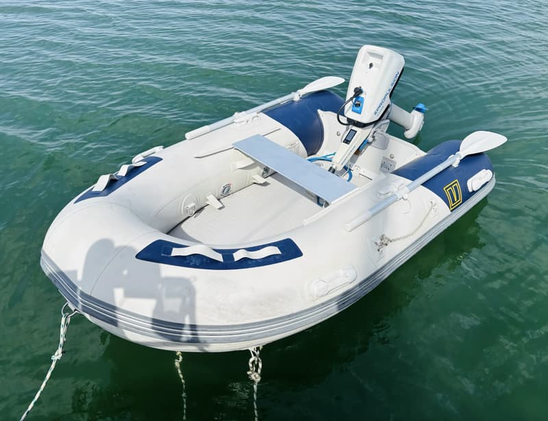 Een wit-blauwe opblaasboot met een buitenboordmotor en twee peddels drijft op groen water.