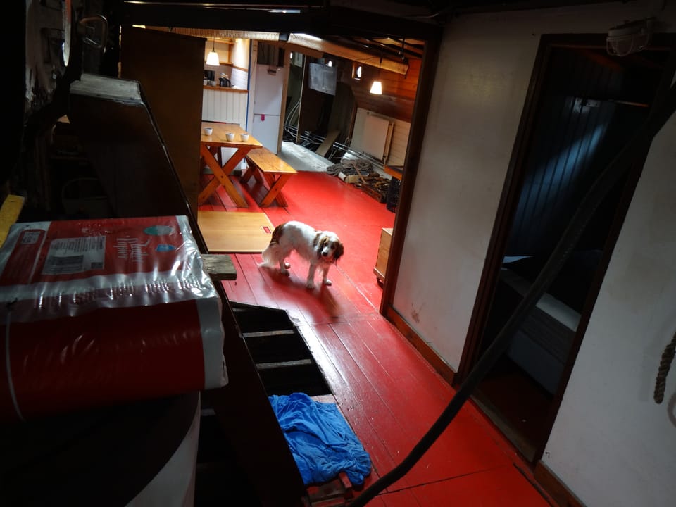 Hagenaar 25.15 zeilboot – stalen charterschip met ligplaats - Foto 66