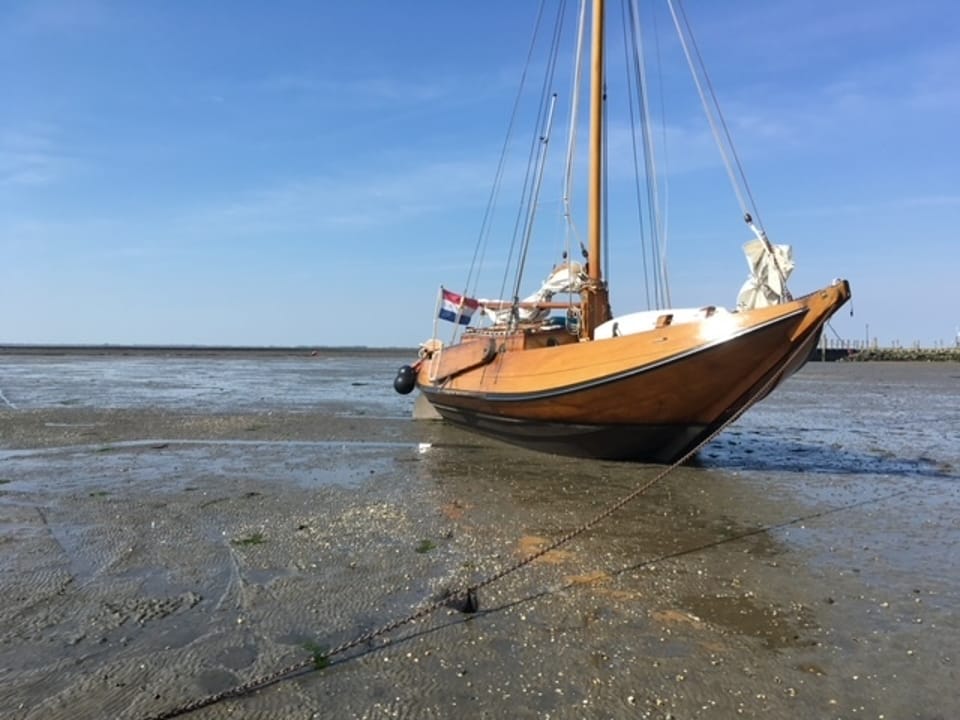 Hoogaars Platbodem 1949 – historisch jacht met nieuwe aandrijving - Foto 2