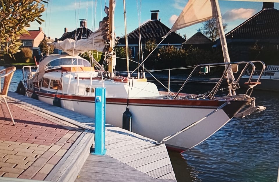 Delphin 66 - Foto 8