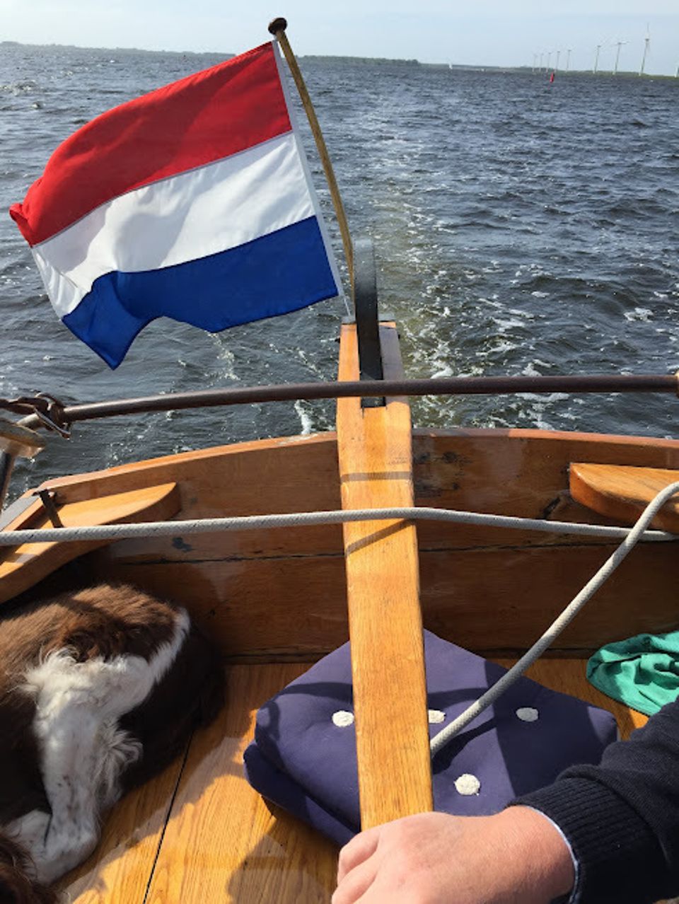 Van Der Meulen Zeeschouw 900 - Foto 6