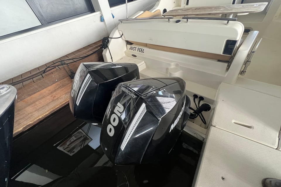 Quicksilver Activ 875 Sundeck - Foto 13