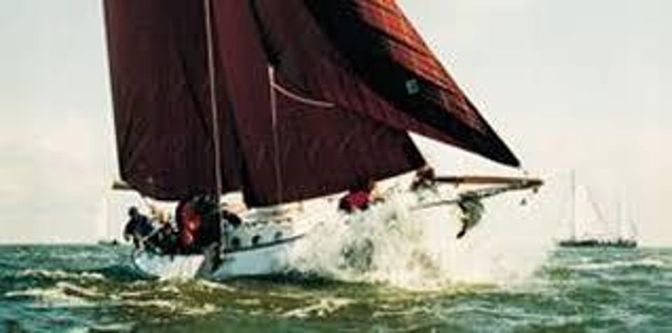Blom Lemsteraak Roefaak 12.10 - Foto 42