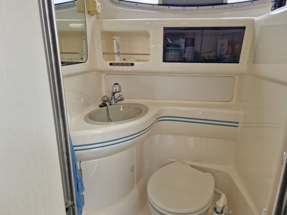 Sealine 310 Ambassador - Foto 13