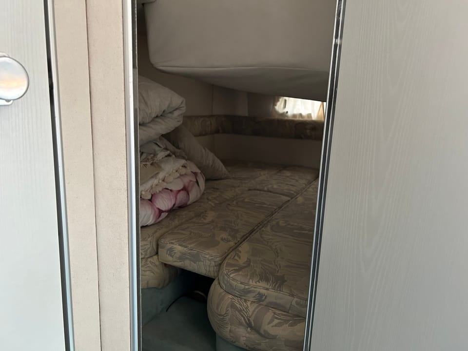 Sealine 310 Ambassador - Foto 14