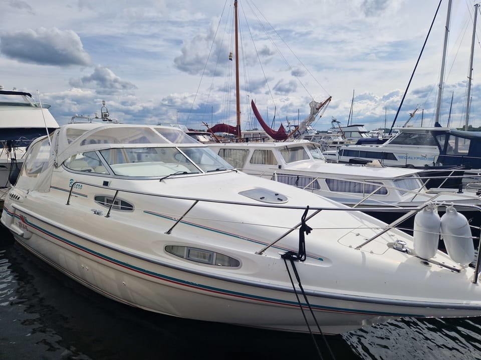 Sealine 310 Ambassador - Foto 26