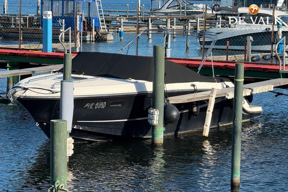 Sea Ray 250 Sun Sport - Foto 8