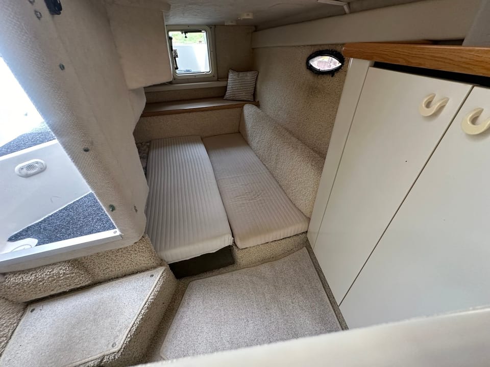 Bayliner 3055 Sunbridge - Foto 19