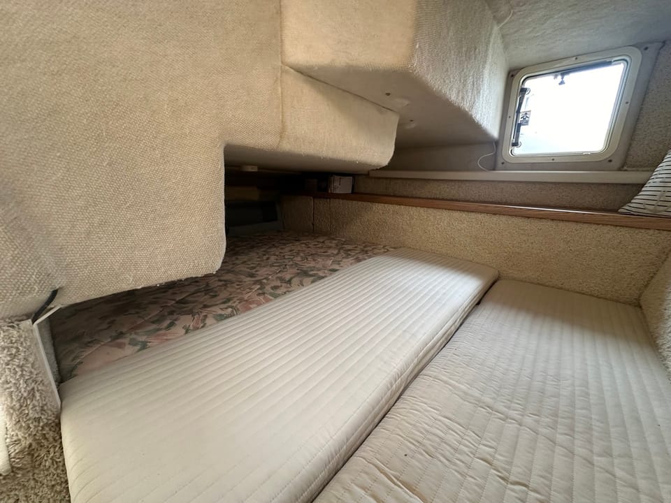 Bayliner 3055 Sunbridge - Foto 20