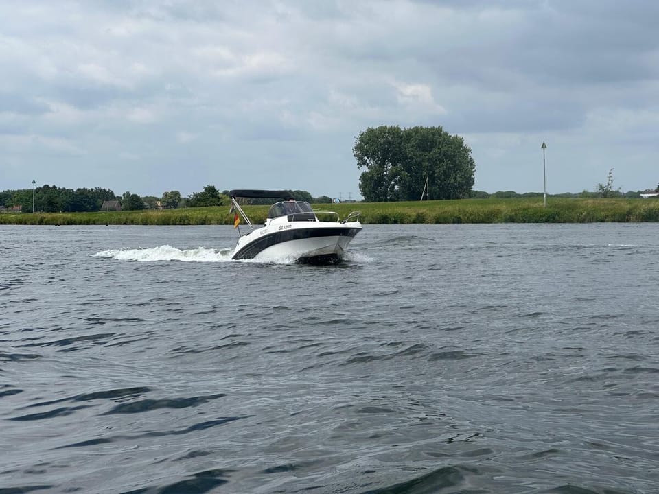 Prins 555 Open - Foto 13