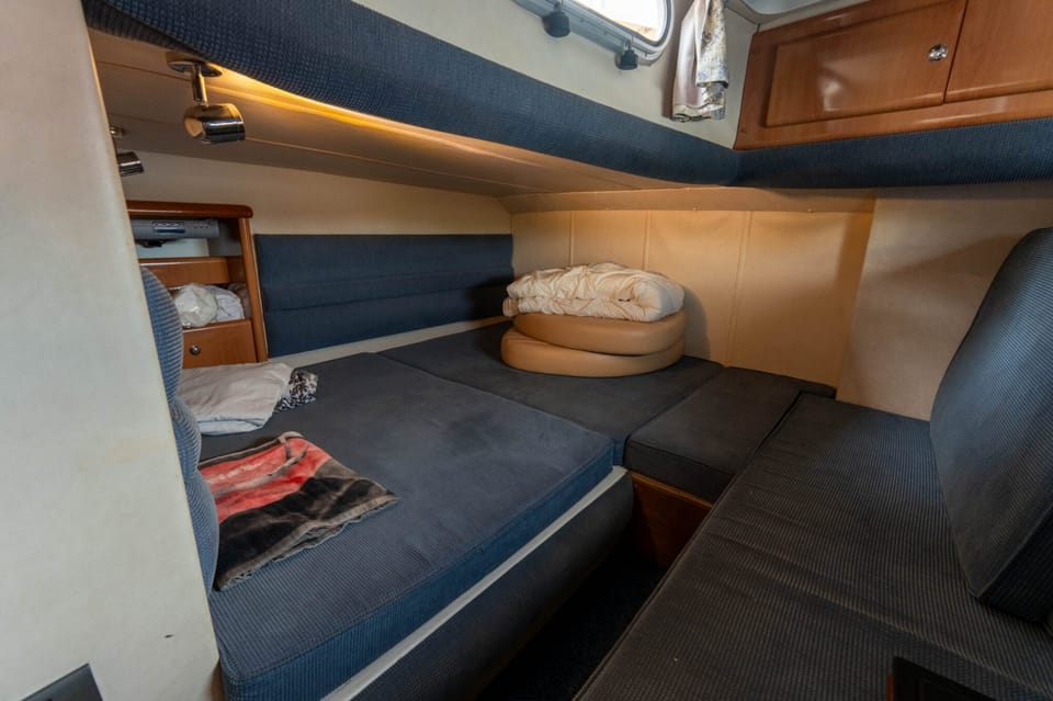 Sealine S37 - Foto 15