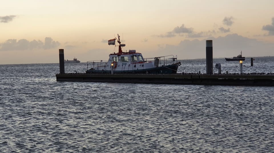 Nelson Halmatic Pilot 40 FT 1974 – Ex-loodsvaartuig voor groot water - Foto 34