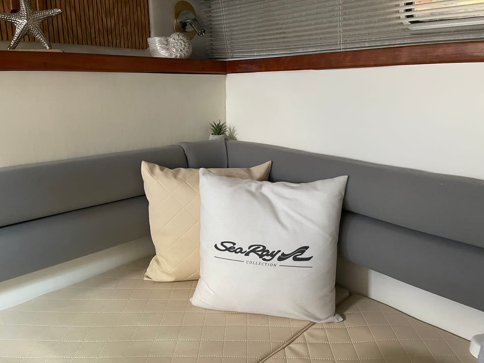 Sea Ray 310 Sundancer - Foto 29